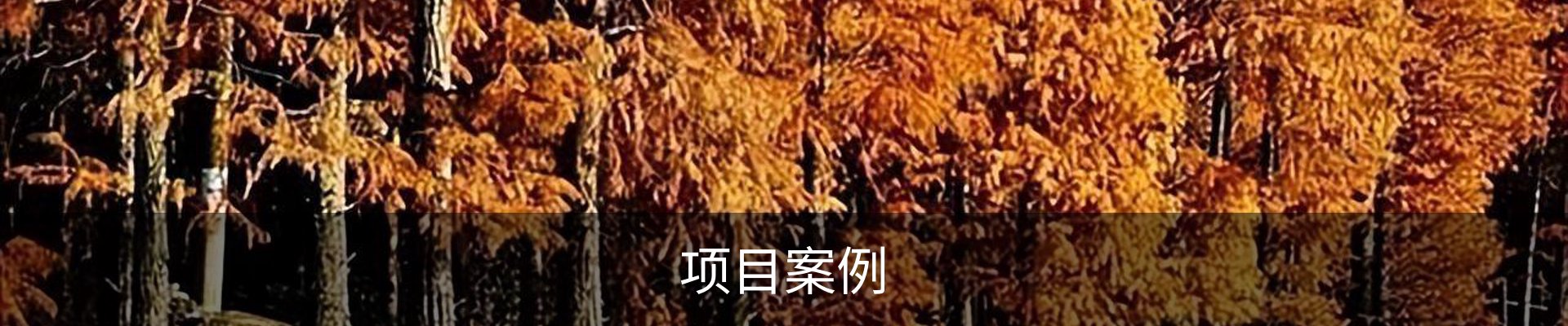 项目案例